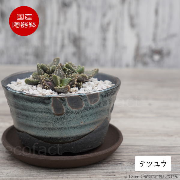 陶器鉢 植木鉢 小鉢 底穴あり 鉄釉浅(ガンメタ)φ12cm 受皿付き おしゃれ プランター 園芸鉢 信楽焼(しがらきやき)かみ山陶器 コーデックス 塊根植物