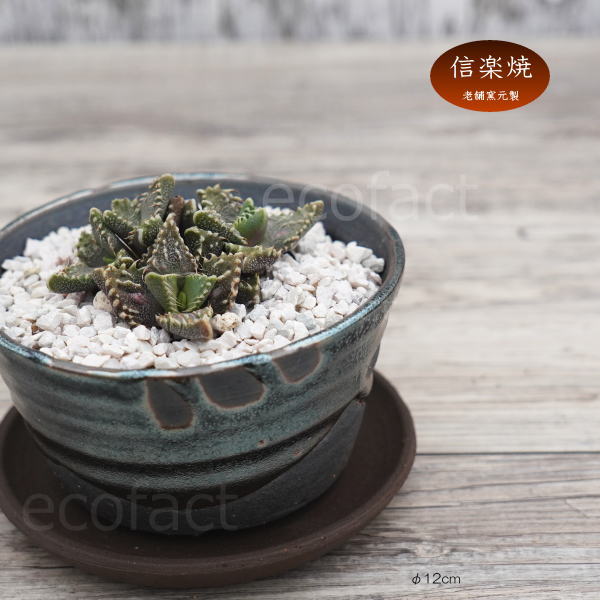 陶器鉢 植木鉢 小鉢 底穴あり 鉄釉浅(ガンメタ)φ12cm 受皿付き おしゃれ プランター 園芸鉢 信楽焼(しがらきやき)かみ山陶器 コーデックス 塊根植物