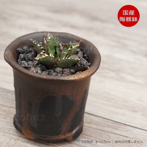 陶器鉢 植木鉢 高脚 筒型3.5号 ダークゴールド 底穴あり おしゃれ プランター 園芸鉢 信楽焼 かみ山陶器 観葉植物 アガベ サボテン ビザールプランツ 塊根植物 コーデックス 多肉植物 ポット