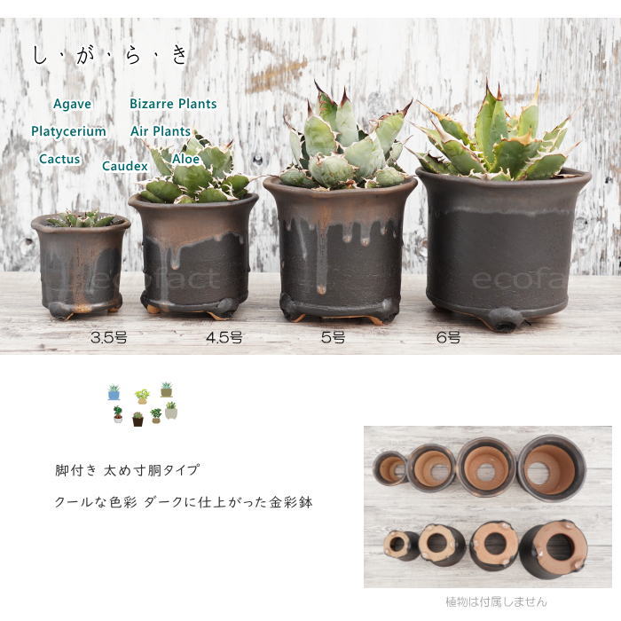 陶器鉢 植木鉢 高脚 筒型6号 ダークゴールド 底穴あり おしゃれ プランター 園芸鉢 信楽焼 かみ山陶器 観葉植物 アガベ サボテン ビザールプランツ 塊根植物 コーデックス 多肉植物 ポット