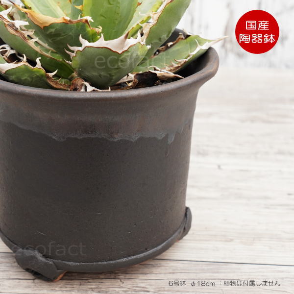 陶器鉢 植木鉢 高脚 筒型6号 ダークゴールド 底穴あり おしゃれ プランター 園芸鉢 信楽焼 かみ山陶器 観葉植物 アガベ サボテン ビザールプランツ 塊根植物 コーデックス 多肉植物 ポット