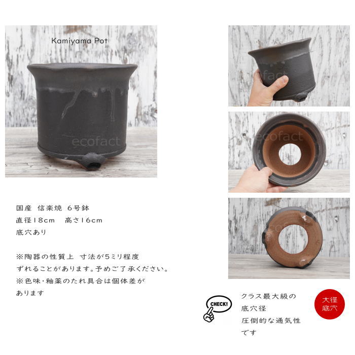 陶器鉢 植木鉢 高脚 筒型6号 ダークゴールド 底穴あり おしゃれ プランター 園芸鉢 信楽焼 かみ山陶器 観葉植物 アガベ サボテン ビザールプランツ 塊根植物 コーデックス 多肉植物 ポット