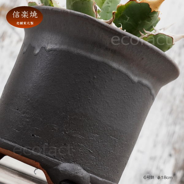 陶器鉢 植木鉢 高脚 筒型6号 ダークゴールド 底穴あり おしゃれ プランター 園芸鉢 信楽焼 かみ山陶器 観葉植物 アガベ サボテン ビザールプランツ 塊根植物 コーデックス 多肉植物 ポット