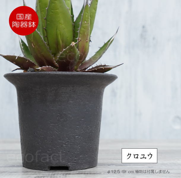 陶器鉢 植木鉢 黒釉ツバ広S φ12cm ブラック おしゃれ プランター 園芸鉢 信楽焼 かみ山陶器 観葉植物 アガベ サボテン ビザールプランツ 塊根植物 コーデックス 多肉植物 ポット