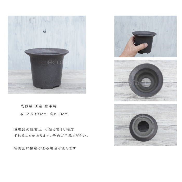 陶器鉢 植木鉢 黒釉ツバ広S φ12cm ブラック おしゃれ プランター 園芸鉢 信楽焼 かみ山陶器 観葉植物 アガベ サボテン ビザールプランツ 塊根植物 コーデックス 多肉植物 ポット