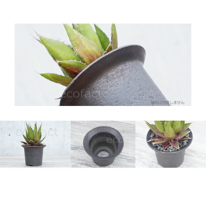 陶器鉢 植木鉢 黒釉ツバ広S φ12cm ブラック おしゃれ プランター 園芸鉢 信楽焼 かみ山陶器 観葉植物 アガベ サボテン ビザールプランツ 塊根植物 コーデックス 多肉植物 ポット