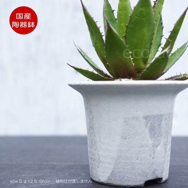 陶器鉢 植木鉢 白つばS φ12.5 (9) cm 底穴ありホワイト 白 おしゃれ プランター 園芸鉢 信楽焼 かみ山陶器 観葉植物 アガベ サボテン ビザールプランツ 塊根植物 コーデックス 多肉植物 ポット