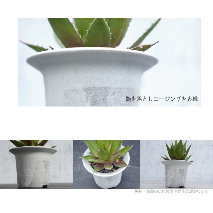 陶器鉢 植木鉢 白つばS φ12.5 (9) cm 底穴ありホワイト 白 おしゃれ プランター 園芸鉢 信楽焼 かみ山陶器 観葉植物 アガベ サボテン ビザールプランツ 塊根植物 コーデックス 多肉植物 ポット