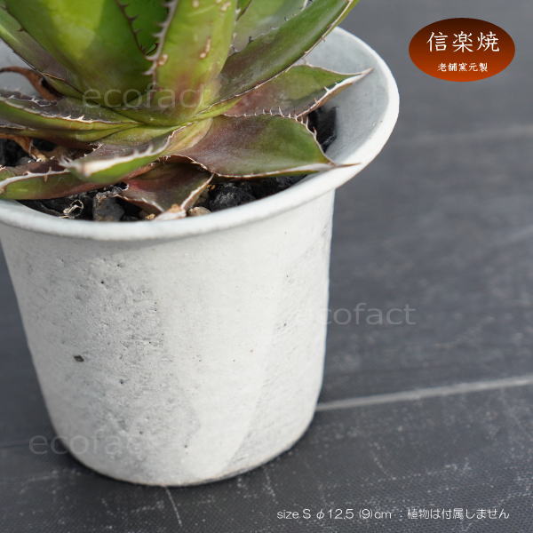 陶器鉢 植木鉢 白つばS φ12.5 (9) cm 底穴ありホワイト 白 おしゃれ プランター 園芸鉢 信楽焼 かみ山陶器 観葉植物 アガベ サボテン ビザールプランツ 塊根植物 コーデックス 多肉植物 ポット