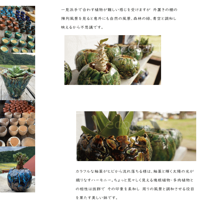 陶器鉢 植木鉢 ミニポット 底穴あり 丸型 フォレスト(グリーン)白茶 M H8cm 日本製 手作り おしゃれ かわいい プランター 園芸鉢 観葉植物 アガベ サボテン ビザールプランツ 塊根植物 コーデックス 多肉植物 ふるものぐりーん8889工房