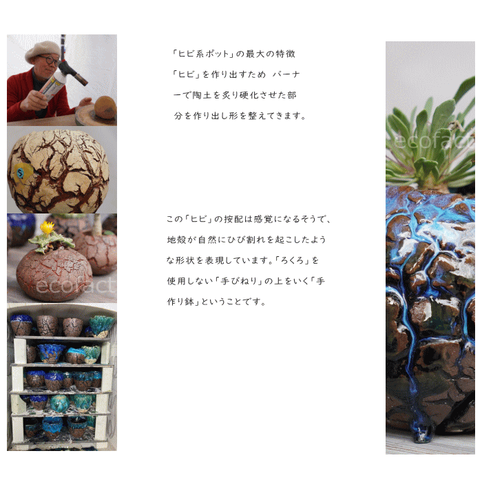 陶器鉢 植木鉢 ミニポット 底穴あり 丸型 フォレスト(グリーン)白茶 M H8cm 日本製 手作り おしゃれ かわいい プランター 園芸鉢 観葉植物 アガベ サボテン ビザールプランツ 塊根植物 コーデックス 多肉植物 ふるものぐりーん8889工房