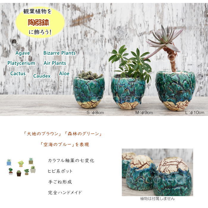 陶器鉢 植木鉢 ミニポット 底穴あり フォレスト(グリーン)白茶M φ9cm 日本製 手作り おしゃれ かわいい プランター 園芸鉢 観葉植物 アガベ サボテン ビザールプランツ 塊根植物 コーデックス 多肉植物 ふるものぐりーん8889工房