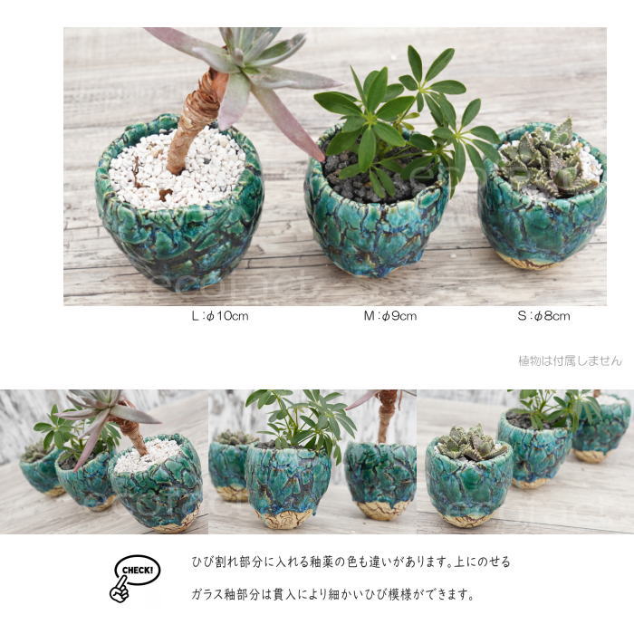 陶器鉢 植木鉢 ミニポット 底穴あり フォレスト(グリーン)白茶M φ9cm 日本製 手作り おしゃれ かわいい プランター 園芸鉢 観葉植物 アガベ サボテン ビザールプランツ 塊根植物 コーデックス 多肉植物 ふるものぐりーん8889工房