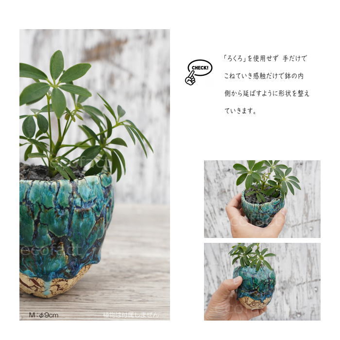 陶器鉢 植木鉢 ミニポット 底穴あり フォレスト(グリーン)白茶M φ9cm 日本製 手作り おしゃれ かわいい プランター 園芸鉢 観葉植物 アガベ サボテン ビザールプランツ 塊根植物 コーデックス 多肉植物 ふるものぐりーん8889工房