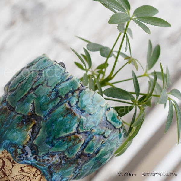 陶器鉢 植木鉢 ミニポット 底穴あり フォレスト(グリーン)白茶M φ9cm 日本製 手作り おしゃれ かわいい プランター 園芸鉢 観葉植物 アガベ サボテン ビザールプランツ 塊根植物 コーデックス 多肉植物 ふるものぐりーん8889工房