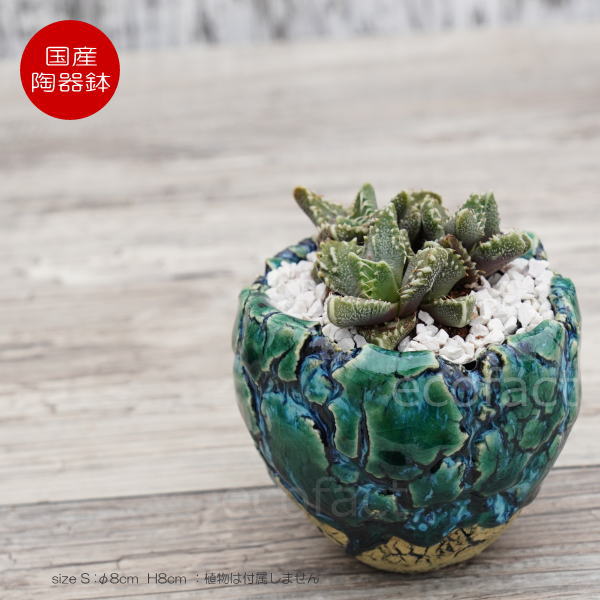 陶器鉢 植木鉢 ミニポット 底穴あり フォレスト(グリーン)白黒 S φ8cm 日本製 手作り おしゃれ かわいい プランター 園芸鉢 観葉植物 アガベ サボテン ビザールプランツ 塊根植物 コーデックス 多肉植物 ふるものぐりーん8889工房