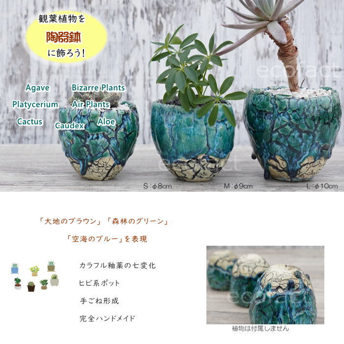 陶器鉢 植木鉢 ミニポット 底穴あり フォレスト(グリーン)白黒 M φ9cm(日本製 手作り おしゃれ かわいい プランター 園芸鉢 観葉植物 アガベ サボテン ビザールプランツ 塊根植物 コーデックス 多肉植物 ふるものぐりーん8889工房