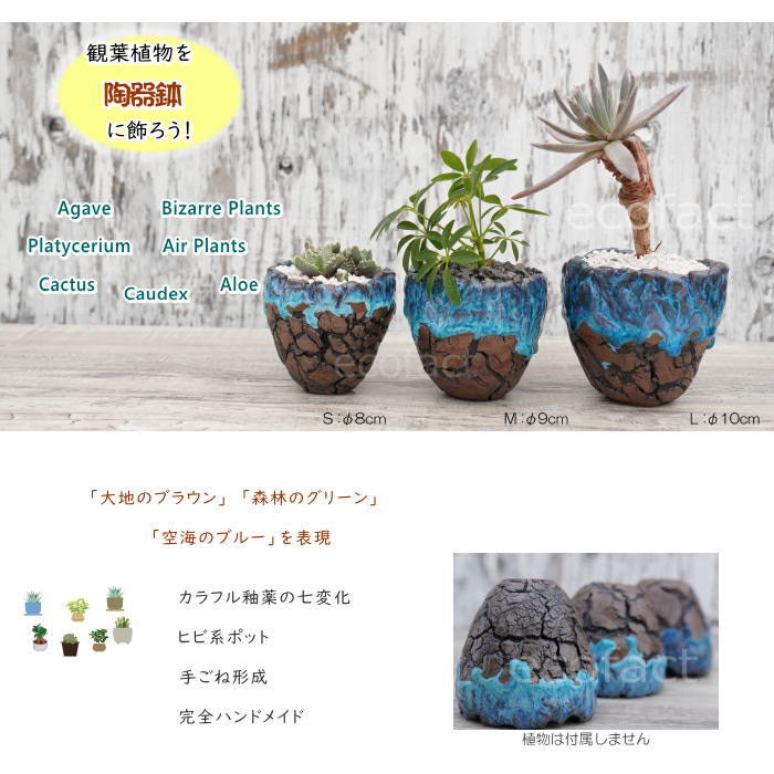 陶器鉢 植木鉢 ミニポット 底穴あり スカイ(ライトブルー) 濃茶 S φ8cm 日本製 手作り おしゃれ かわいい プランター 園芸鉢 観葉植物 アガベ サボテン ビザールプランツ 塊根植物 コーデックス 多肉植物 ふるものぐりーん8889工房
