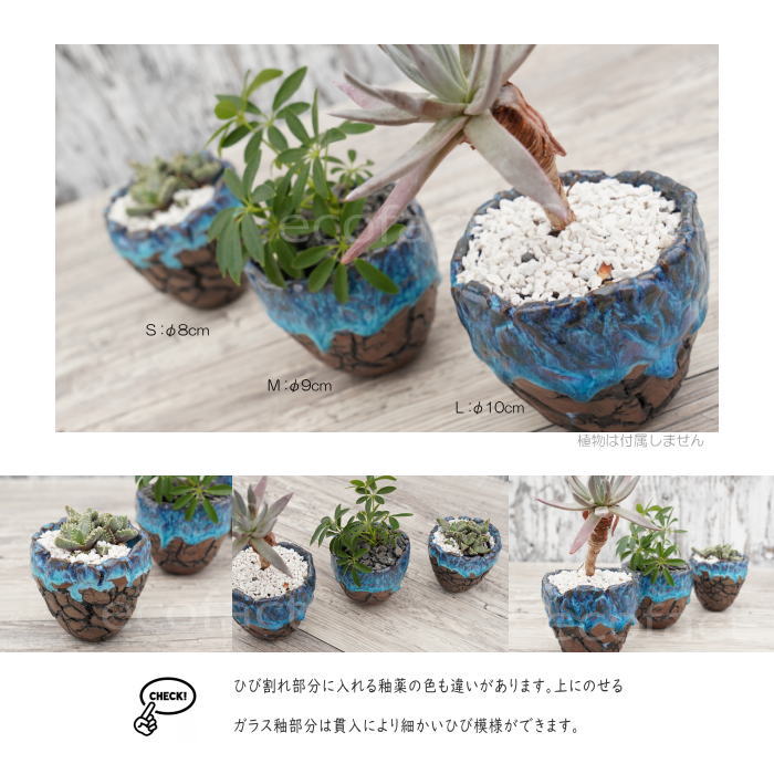 陶器鉢 植木鉢 ミニポット 底穴あり スカイ(ライトブルー) 濃茶 S φ8cm 日本製 手作り おしゃれ かわいい プランター 園芸鉢 観葉植物 アガベ サボテン ビザールプランツ 塊根植物 コーデックス 多肉植物 ふるものぐりーん8889工房