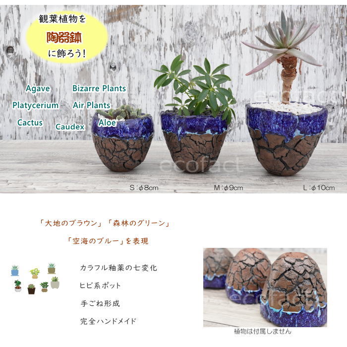 陶器鉢 植木鉢 ミニポット 底穴あり オーシャン(ブルー) 濃茶 M φ9cm 日本製 手作り おしゃれ かわいい プランター 園芸鉢 観葉植物 アガベ サボテン ビザールプランツ 塊根植物 コーデックス 多肉植物 ふるものぐりーん8889工房