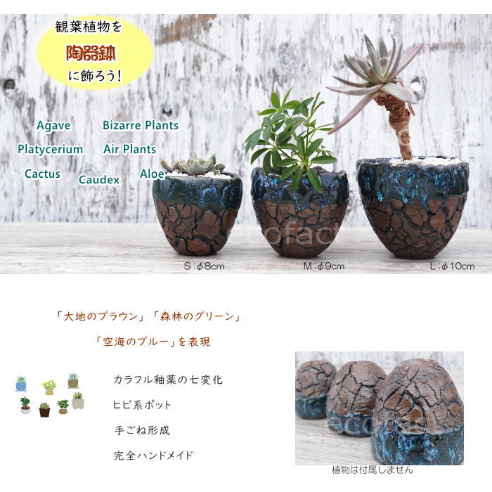 陶器鉢 植木鉢 ミニポット 底穴あり インディゴ 濃茶 S φ8cm 日本製 手作り おしゃれ かわいい プランター 園芸鉢 観葉植物 アガベ サボテン ビザールプランツ 塊根植物 コーデックス 多肉植物 ふるものぐりーん8889工房