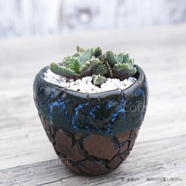 陶器鉢 植木鉢 ミニポット 底穴あり インディゴ 濃茶 S φ8cm 日本製 手作り おしゃれ かわいい プランター 園芸鉢 観葉植物 アガベ サボテン ビザールプランツ 塊根植物 コーデックス 多肉植物 ふるものぐりーん8889工房