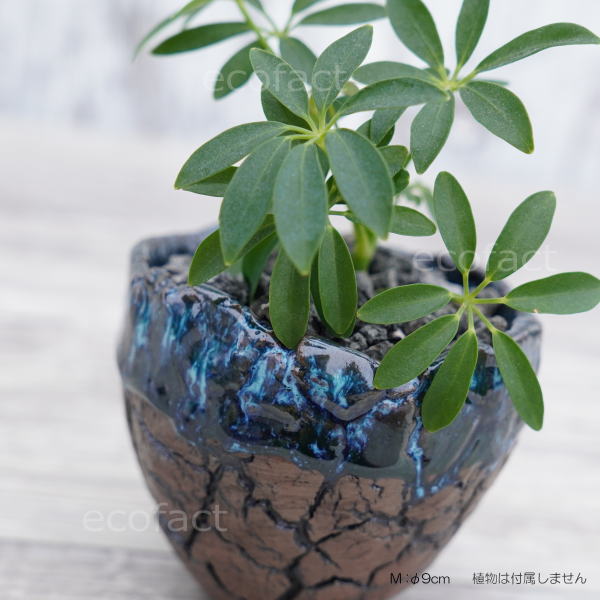 陶器鉢 植木鉢 ミニポット 底穴あり インディゴ 濃茶 M φ9cm 日本製 手作り おしゃれ かわいい プランター 園芸鉢 観葉植物 アガベ サボテン ビザールプランツ 塊根植物 コーデックス 多肉植物 ふるものぐりーん8889工房