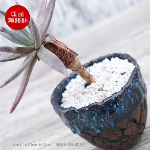 陶器鉢 植木鉢 ミニポット 底穴あり インディゴ 濃茶 L φ10cm 日本製 手作り おしゃれ かわいい プランター 園芸鉢 観葉植物 アガベ サボテン ビザールプランツ 塊根植物 コーデックス 多肉植物 ふるものぐりーん8889工房