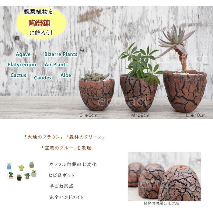 陶器鉢 植木鉢 ミニポット 底穴あり アース 茶 S φ8cm 日本製 手作り おしゃれ かわいい プランター 園芸鉢 観葉植物 アガベ サボテン ビザールプランツ 塊根植物 コーデックス 多肉植物 ふるものぐりーん8889工房
