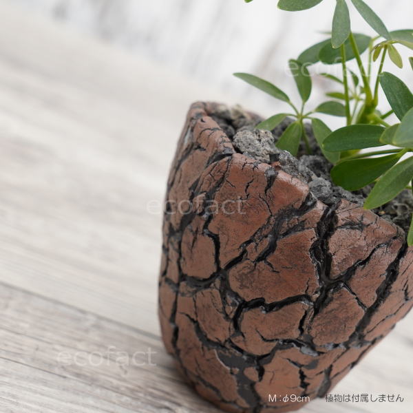 陶器鉢 植木鉢 ミニポット 底穴あり アース 茶 M φ9cm 日本製 手作り おしゃれ かわいい プランター 園芸鉢 観葉植物 アガベ サボテン ビザールプランツ 塊根植物 コーデックス 多肉植物 ふるものぐりーん8889工房