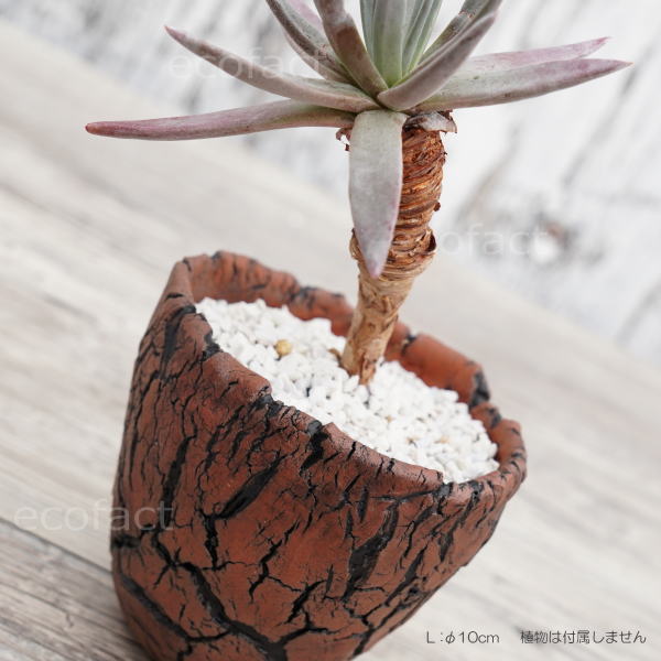 陶器鉢 植木鉢 ミニポット 底穴あり アース 茶 L φ10cm 日本製 手作り おしゃれ かわいい プランター 園芸鉢 観葉植物 アガベ サボテン ビザールプランツ 塊根植物 コーデックス 多肉植物 ふるものぐりーん8889工房