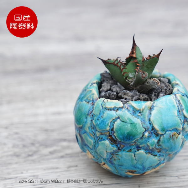 陶器鉢 植木鉢 ミニポット 底穴あり 丸型 フォレスト(グリーン)白茶 SS H6cm 日本製 手作り おしゃれ かわいい プランター 園芸鉢 観葉植物 アガベ サボテン ビザールプランツ 塊根植物 コーデックス 多肉植物 ふるものぐりーん8889工房
