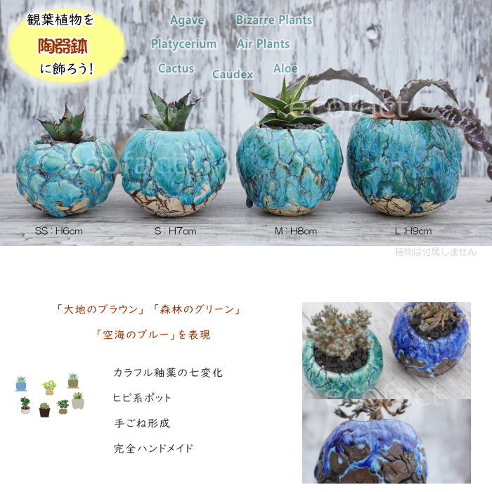 陶器鉢 植木鉢 ミニポット 底穴あり 丸型 フォレスト(グリーン)白茶 M H8cm 日本製 手作り おしゃれ かわいい プランター 園芸鉢 観葉植物 アガベ サボテン ビザールプランツ 塊根植物 コーデックス 多肉植物 ふるものぐりーん8889工房