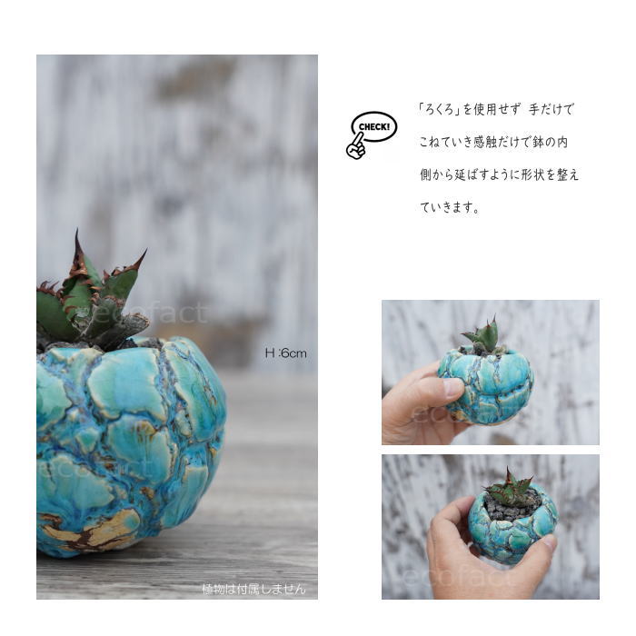 陶器鉢 植木鉢 ミニポット 底穴あり 丸型 フォレスト(グリーン)白茶 SS H6cm 日本製 手作り おしゃれ かわいい プランター 園芸鉢 観葉植物 アガベ サボテン ビザールプランツ 塊根植物 コーデックス 多肉植物 ふるものぐりーん8889工房