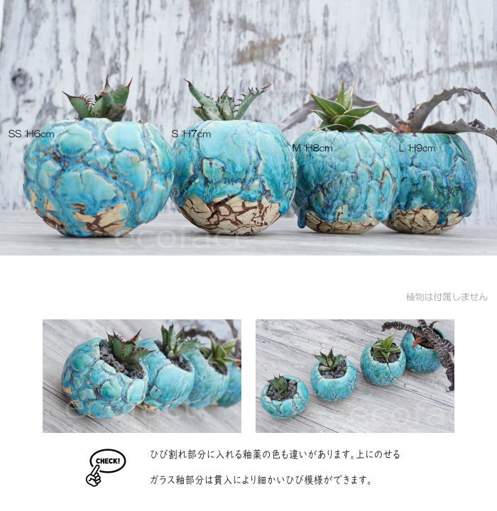 陶器鉢 植木鉢 ミニポット 底穴あり 丸型 フォレスト(グリーン)白茶 M H8cm 日本製 手作り おしゃれ かわいい プランター 園芸鉢 観葉植物 アガベ サボテン ビザールプランツ 塊根植物 コーデックス 多肉植物 ふるものぐりーん8889工房