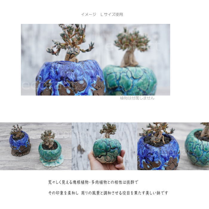 陶器鉢 植木鉢 ミニポット 底穴あり 丸型 フォレスト(グリーン)白茶 M H8cm 日本製 手作り おしゃれ かわいい プランター 園芸鉢 観葉植物 アガベ サボテン ビザールプランツ 塊根植物 コーデックス 多肉植物 ふるものぐりーん8889工房