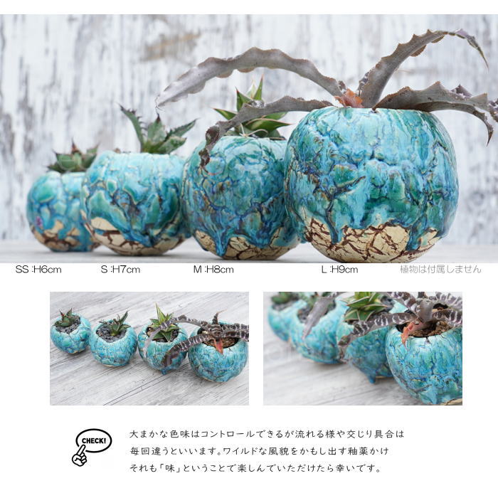 陶器鉢 植木鉢 ミニポット 底穴あり 丸型 フォレスト(グリーン)白茶 M H8cm 日本製 手作り おしゃれ かわいい プランター 園芸鉢 観葉植物 アガベ サボテン ビザールプランツ 塊根植物 コーデックス 多肉植物 ふるものぐりーん8889工房