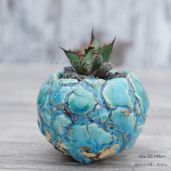 陶器鉢 植木鉢 ミニポット 底穴あり 丸型 フォレスト(グリーン)白茶 SS H6cm 日本製 手作り おしゃれ かわいい プランター 園芸鉢 観葉植物 アガベ サボテン ビザールプランツ 塊根植物 コーデックス 多肉植物 ふるものぐりーん8889工房