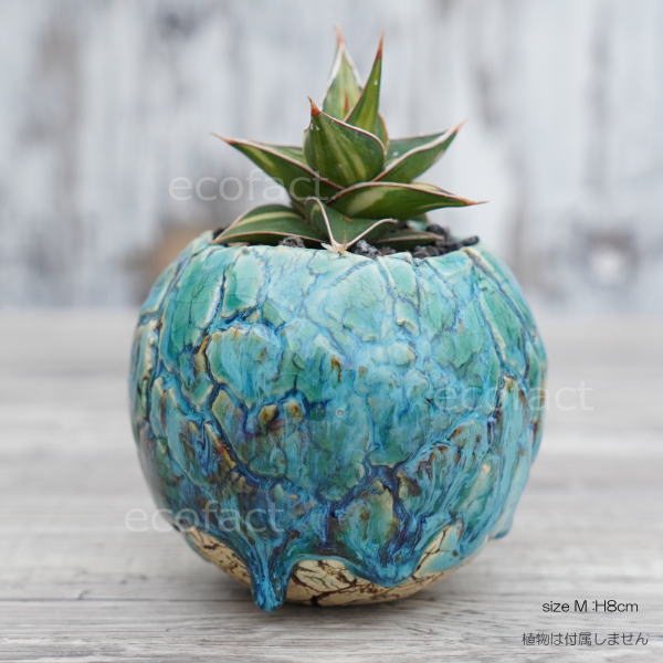 陶器鉢 植木鉢 ミニポット 底穴あり 丸型 フォレスト(グリーン)白茶 M H8cm 日本製 手作り おしゃれ かわいい プランター 園芸鉢 観葉植物 アガベ サボテン ビザールプランツ 塊根植物 コーデックス 多肉植物 ふるものぐりーん8889工房