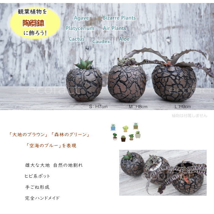 陶器鉢 植木鉢 ミニポット 底穴あり 丸型 アース(ブラウン)S H7cm 日本製 手作り おしゃれ かわいい プランター 園芸鉢 観葉植物 アガベ サボテン ビザールプランツ 塊根植物 コーデックス 多肉植物 ふるものぐりーん8889工房