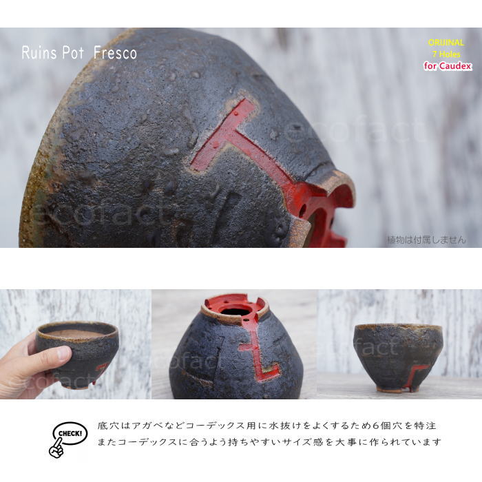 陶器鉢 植木鉢 小鉢 底穴あり 益子焼 Ruins Pot Fresco てり φ11cm おしゃれ 園芸鉢 プランター アガベ コーデックス 塊根植物 NK CERAMICA(エヌケーセラミカ)