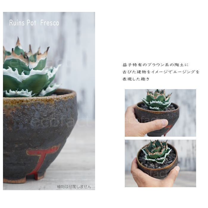陶器鉢 植木鉢 小鉢 底穴あり 益子焼 Ruins Pot Fresco てり φ11cm おしゃれ 園芸鉢 プランター アガベ コーデックス 塊根植物 NK CERAMICA(エヌケーセラミカ)