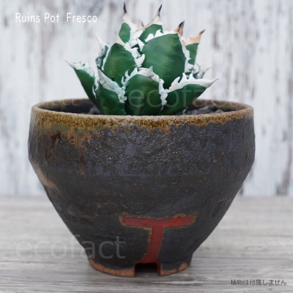 陶器鉢 植木鉢 小鉢 底穴あり 益子焼 Ruins Pot Fresco てり φ11cm おしゃれ 園芸鉢 プランター アガベ コーデックス 塊根植物 NK CERAMICA(エヌケーセラミカ)