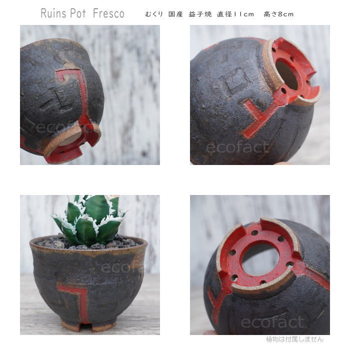 陶器鉢 植木鉢 小鉢 底穴あり 益子焼 Ruins Pot Fresco むくり φ11cm おしゃれ 園芸鉢 プランター アガベ コーデックス 塊根植物 多肉植物 NK CERAMICA(エヌケーセラミカ)
