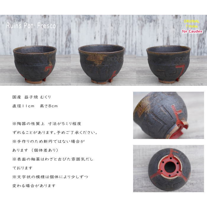 陶器鉢 植木鉢 小鉢 底穴あり 益子焼 Ruins Pot Fresco むくり φ11cm おしゃれ 園芸鉢 プランター アガベ コーデックス 塊根植物 多肉植物 NK CERAMICA(エヌケーセラミカ)