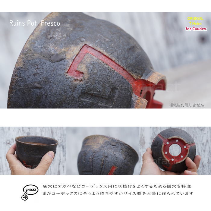 陶器鉢 植木鉢 小鉢 底穴あり 益子焼 Ruins Pot Fresco むくり φ11cm おしゃれ 園芸鉢 プランター アガベ コーデックス 塊根植物 多肉植物 NK CERAMICA(エヌケーセラミカ)