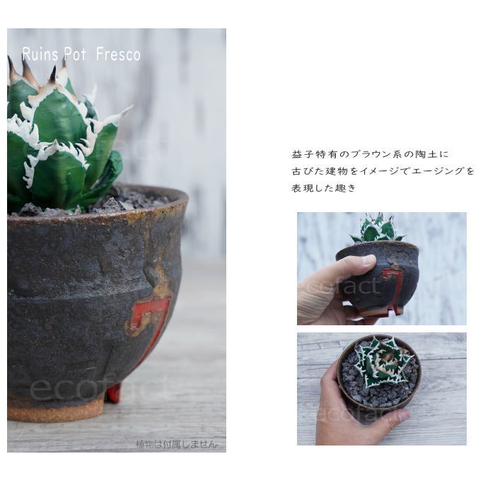 陶器鉢 植木鉢 小鉢 底穴あり 益子焼 Ruins Pot Fresco むくり φ11cm おしゃれ 園芸鉢 プランター アガベ コーデックス 塊根植物 多肉植物 NK CERAMICA(エヌケーセラミカ)