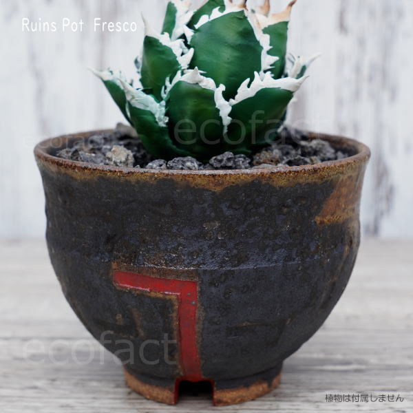 陶器鉢 植木鉢 小鉢 底穴あり 益子焼 Ruins Pot Fresco むくり φ11cm おしゃれ 園芸鉢 プランター アガベ コーデックス 塊根植物 多肉植物 NK CERAMICA(エヌケーセラミカ)