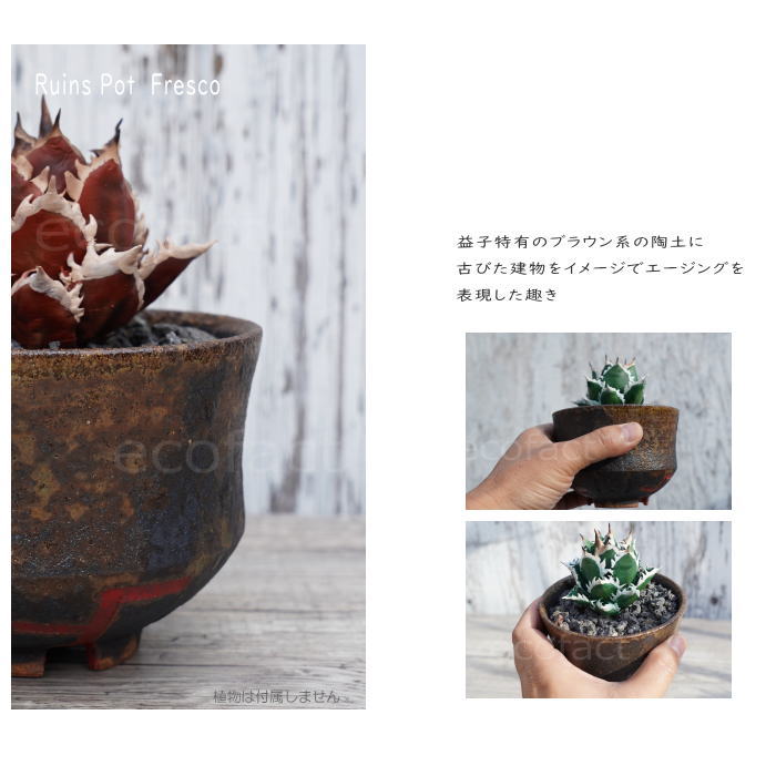 陶器鉢 植木鉢 小鉢 底穴あり 益子焼 Ruins Pot Fresco 大そり φ11cm おしゃれ 園芸鉢 プランター アガベ コーデックス 塊根植物 NK CERAMICA(エヌケーセラミカ)