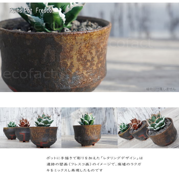 陶器鉢 植木鉢 小鉢 底穴あり 益子焼 Ruins Pot Fresco 大そり φ11cm おしゃれ 園芸鉢 プランター アガベ コーデックス 塊根植物 NK CERAMICA(エヌケーセラミカ)